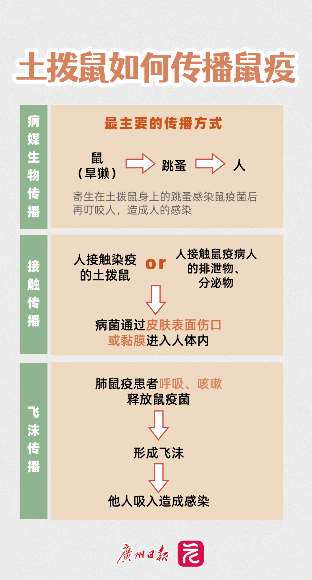 鼠疫__2025-02-26+09_49_34