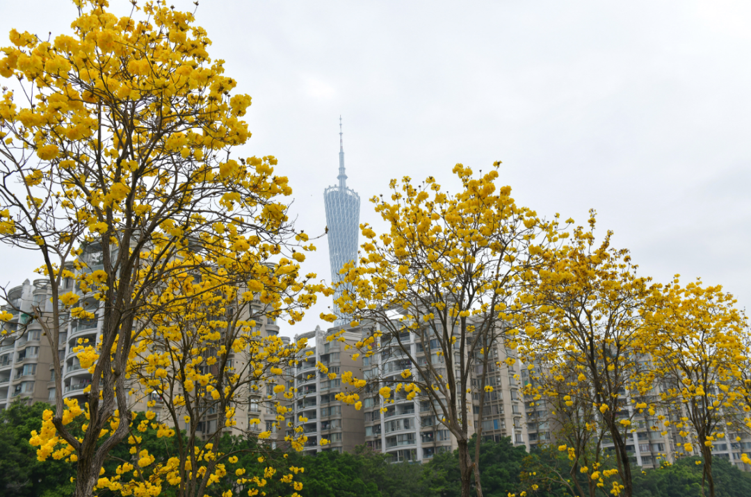 微信图片_20250227175132