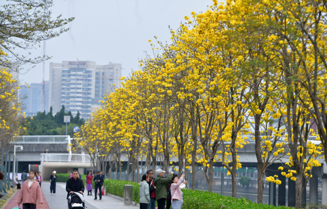 微信图片_20250227175721