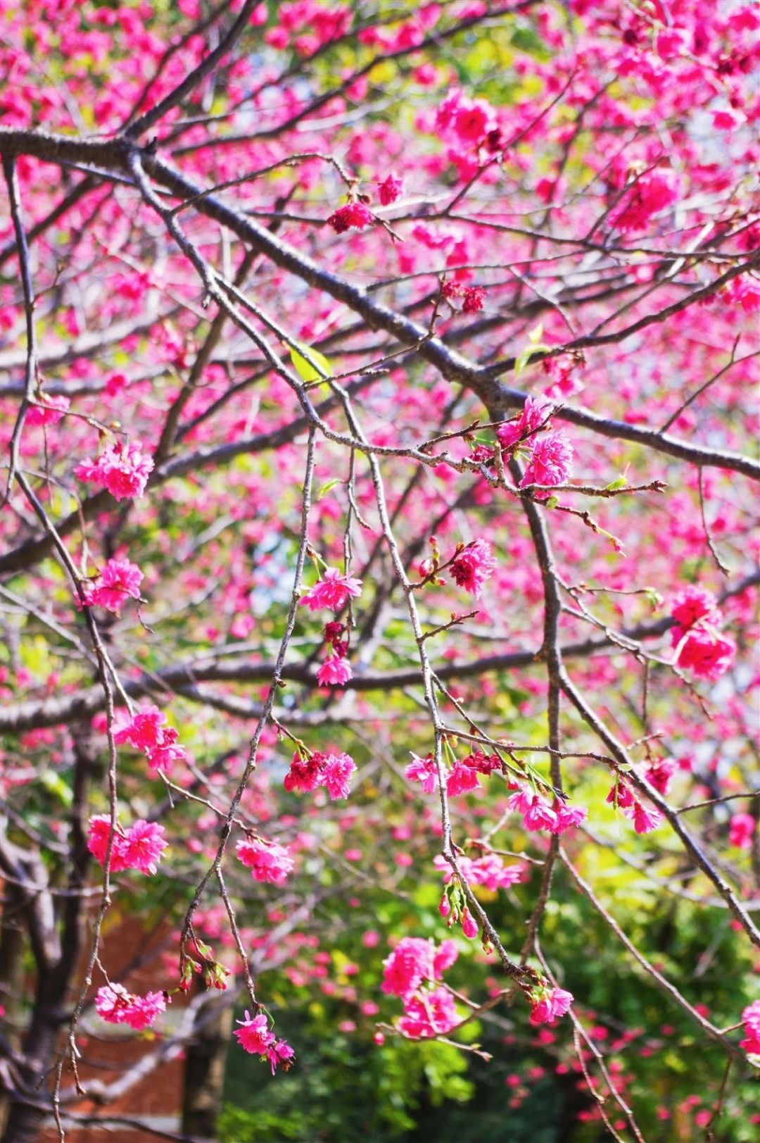 0cb3f9a1f5d7e5b9087debee60a5f056.jpg 0cb3f9a1f5d7e5b9087debee60a5f056.jpg