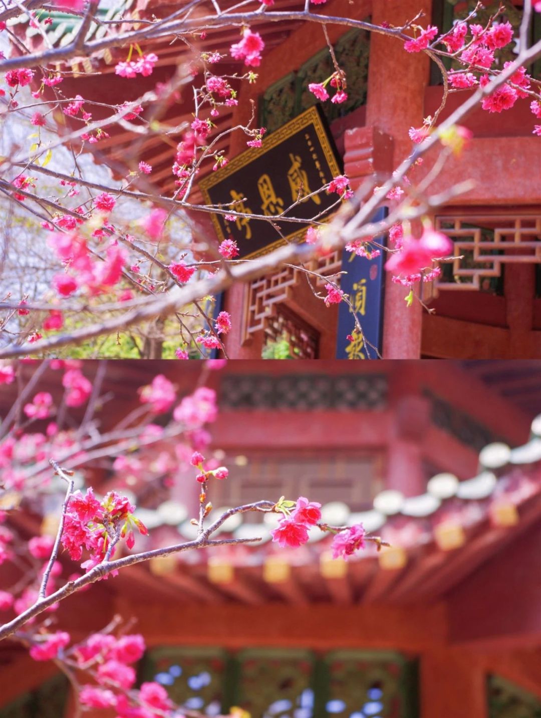 fe1396b4c53bd903ac220cab09ef676e.jpg fe1396b4c53bd903ac220cab09ef676e.jpg