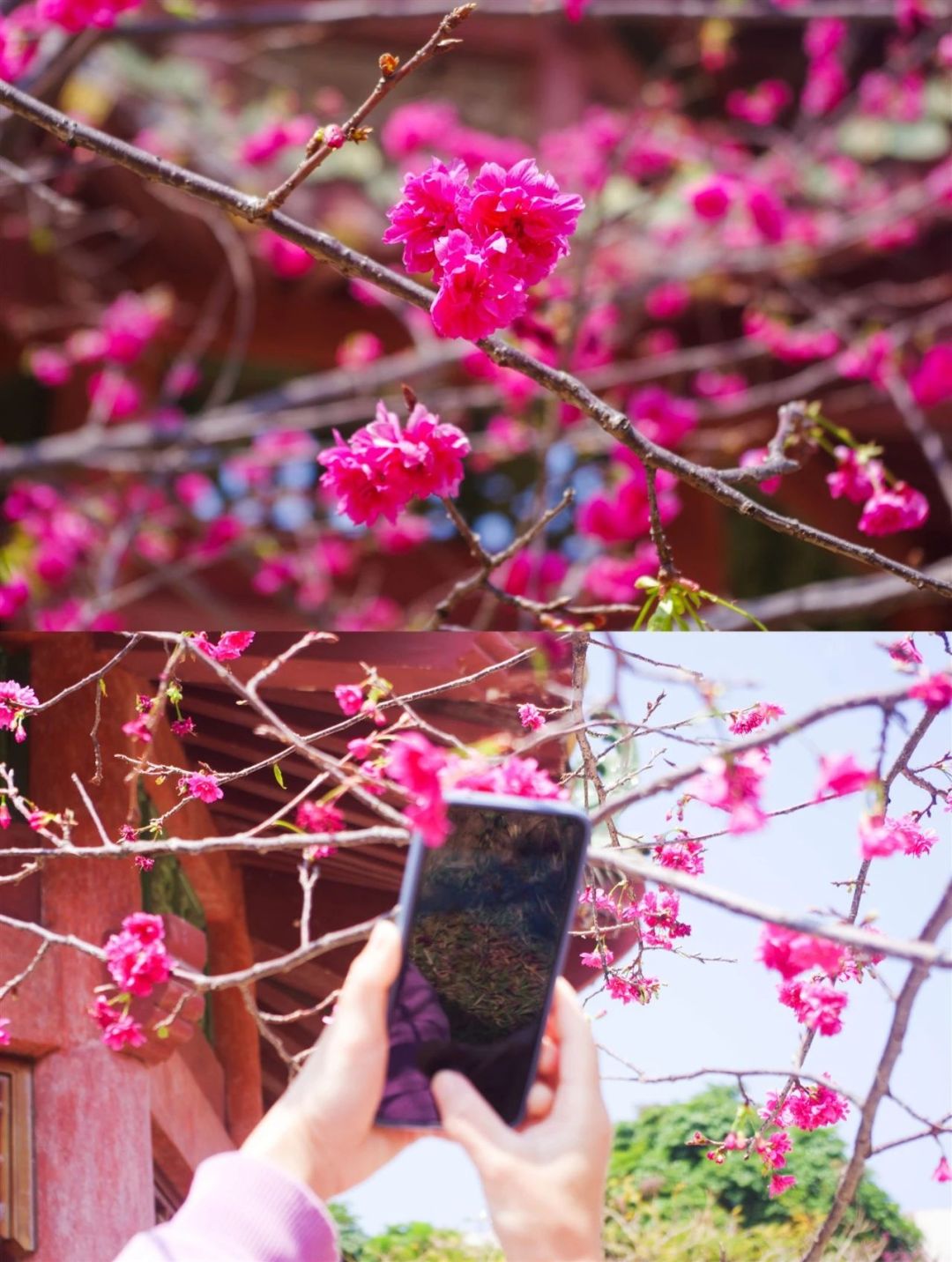 ead6ace375514223ffec0cef20ca6f8c.jpg ead6ace375514223ffec0cef20ca6f8c.jpg