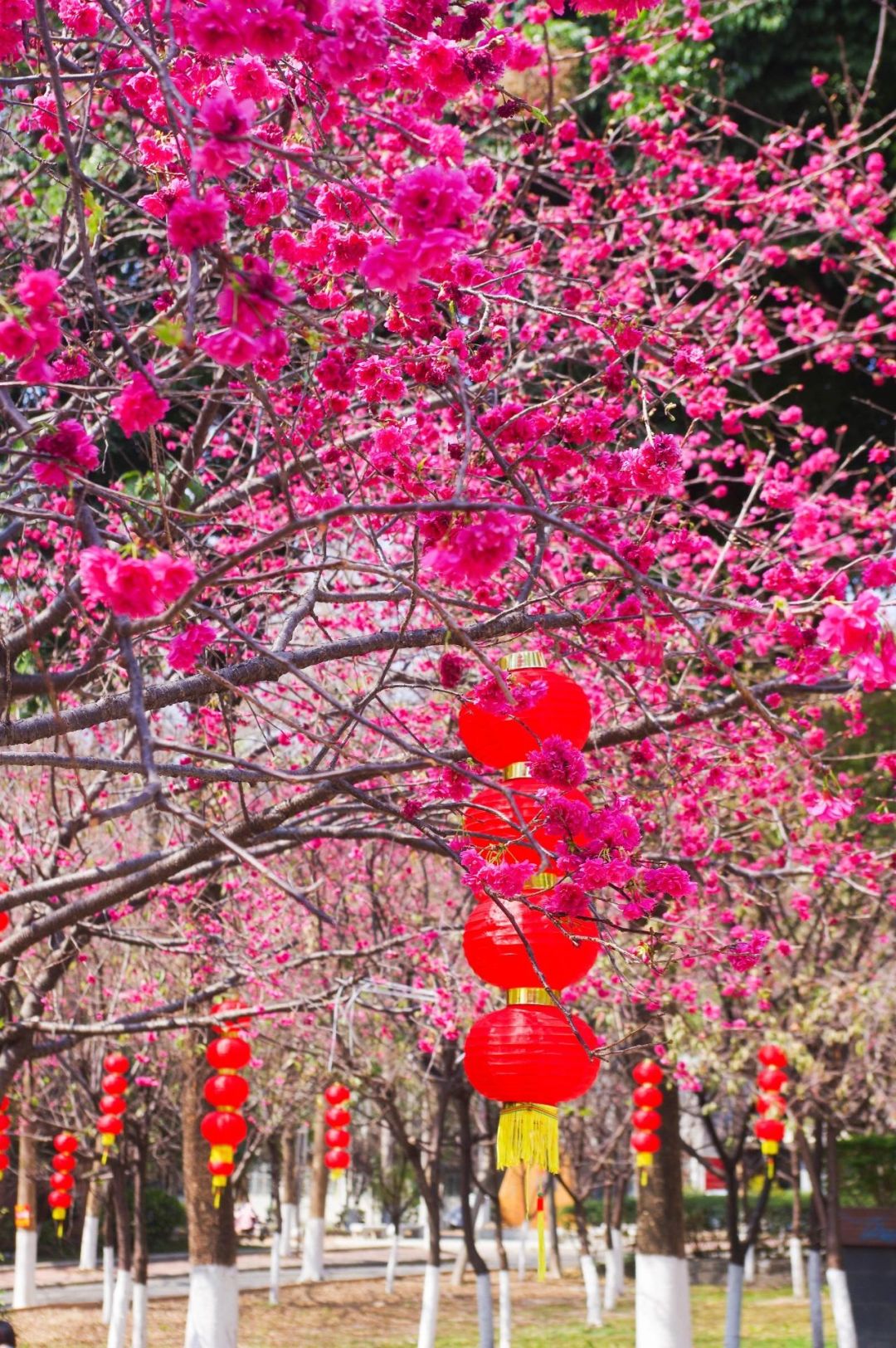 e562d6b5350639bc2906679a08eb3ff1.jpg e562d6b5350639bc2906679a08eb3ff1.jpg