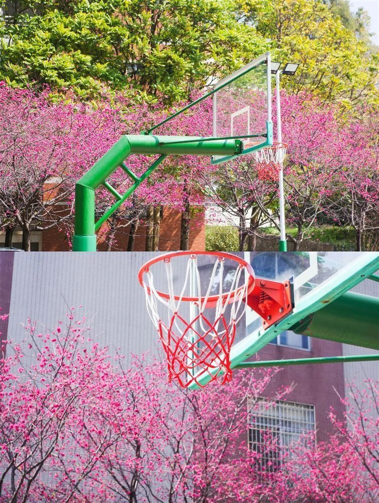 36f60ed054691cea5bf8b8db54cf8ef7.jpg 36f60ed054691cea5bf8b8db54cf8ef7.jpg