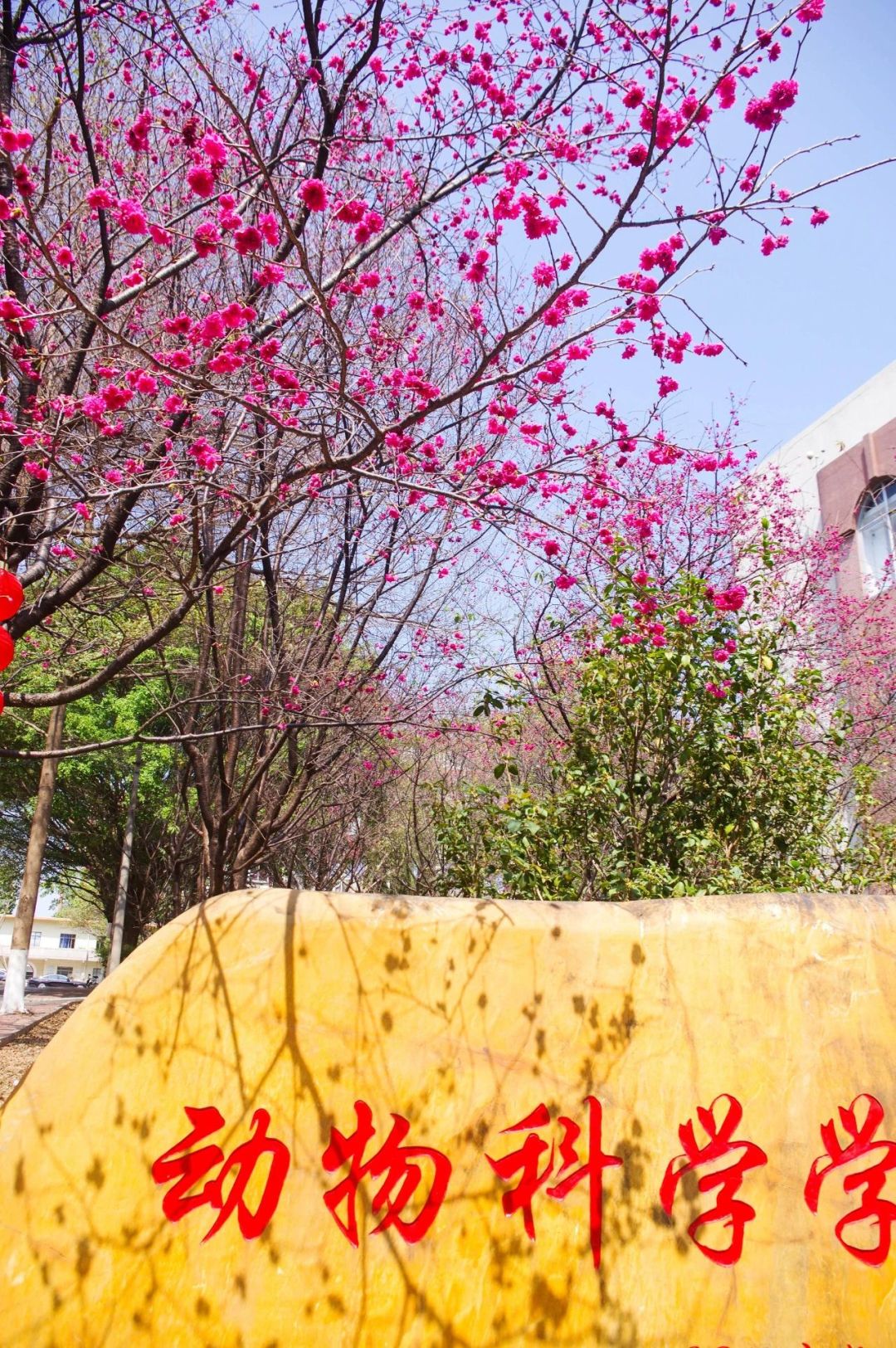 2dbc1c577684c3dd730088c9321d3e18.jpg 2dbc1c577684c3dd730088c9321d3e18.jpg