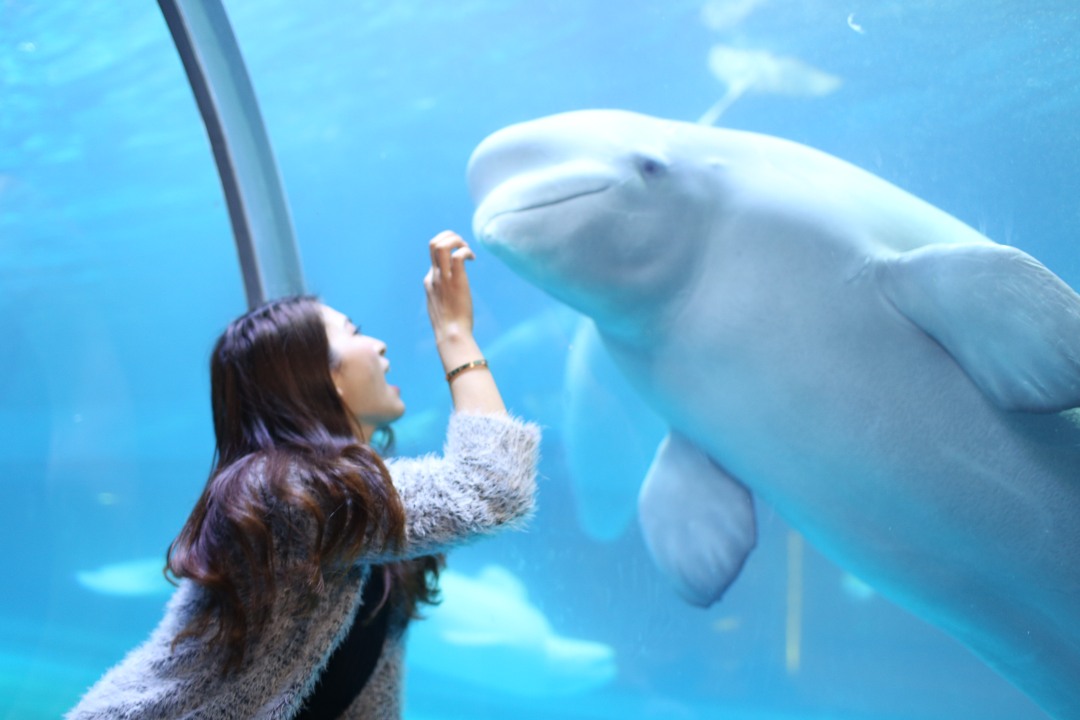 微信图片_20250228200251