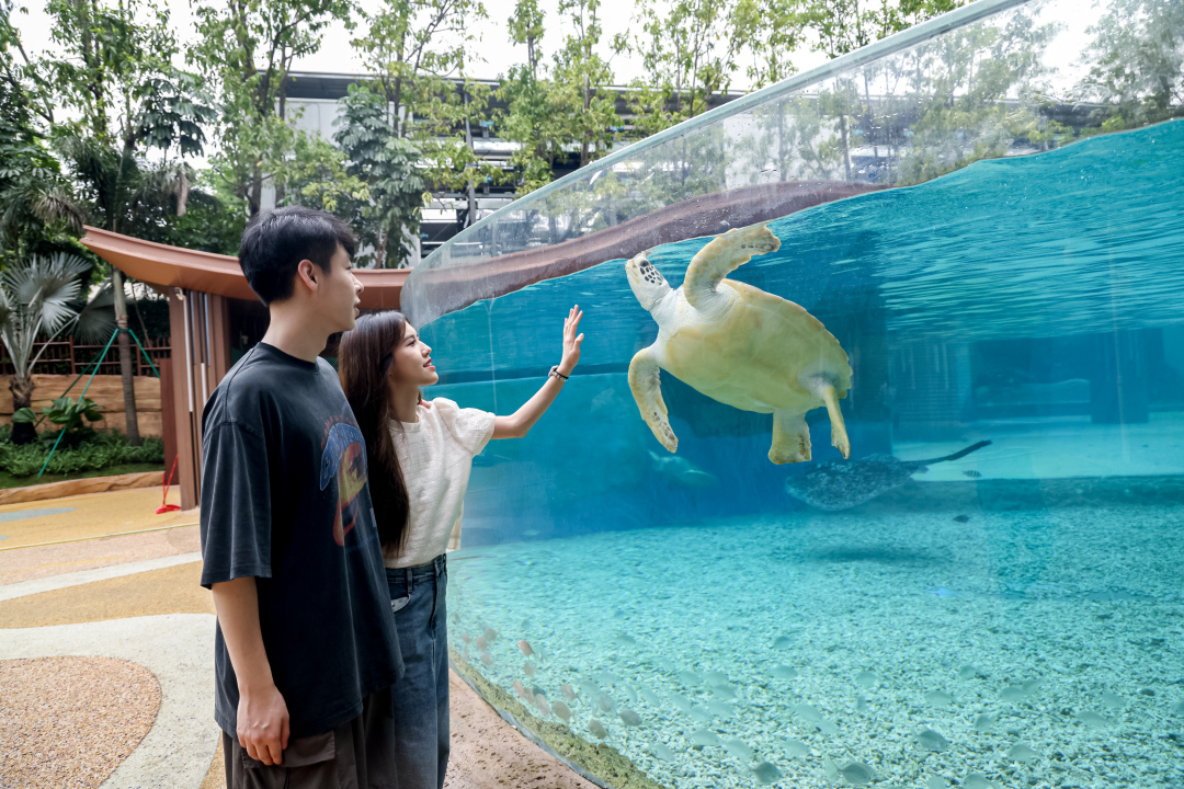 微信图片_20250228200349