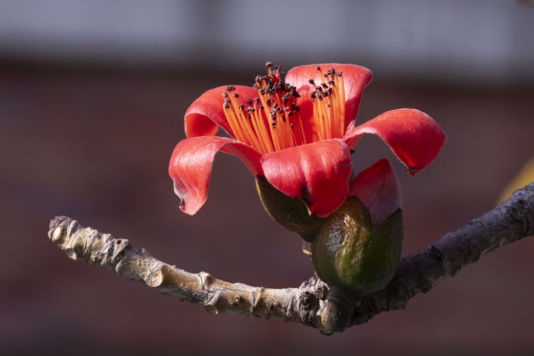 苏俊杰-JASO030120240319-NEP1_20250302_C00413452270