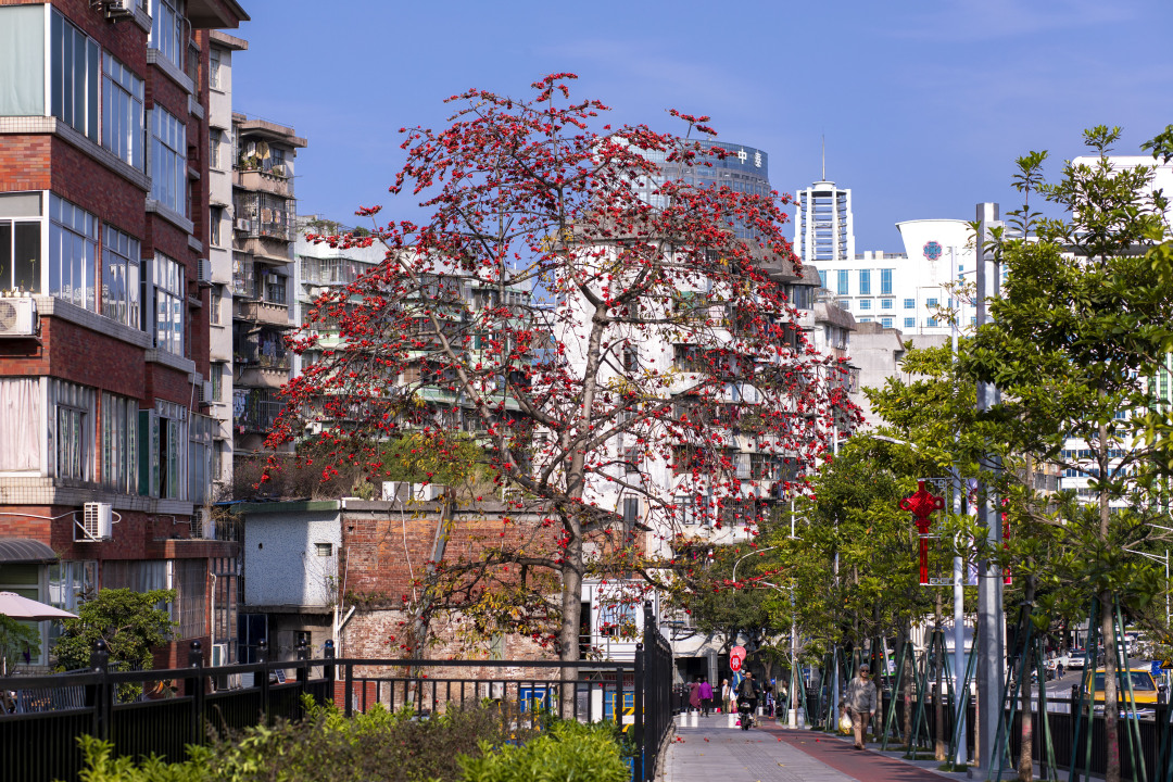 苏俊杰-JASO023420240319-NEP1_20250302_C00413452277