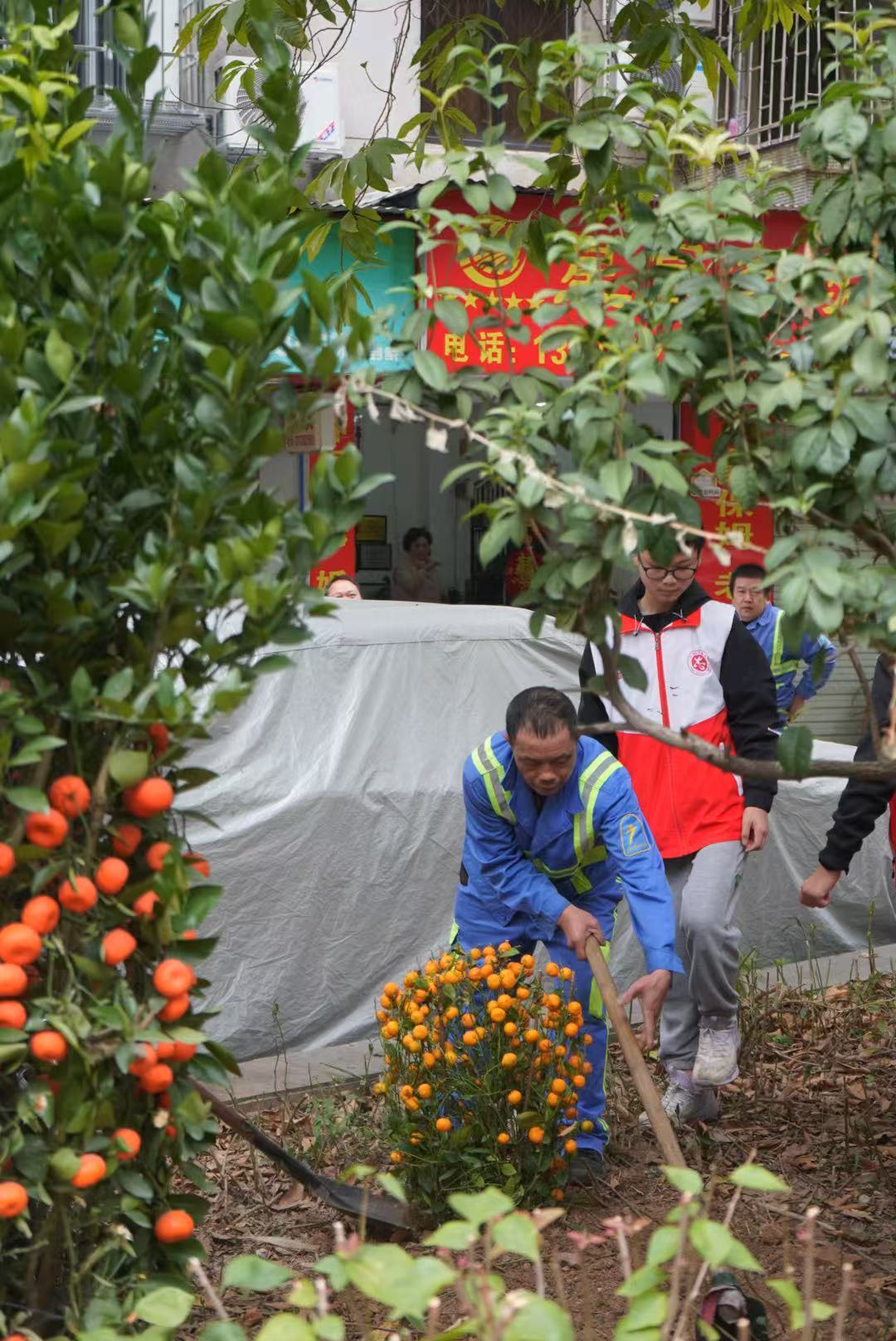 c6e215515cce4e5ae89a9f0f584ca30