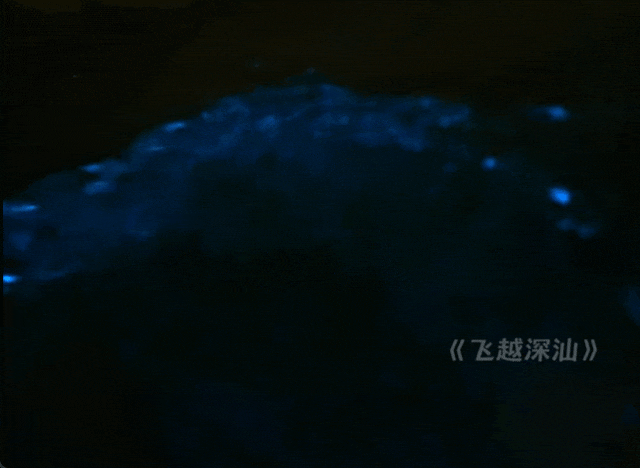 GIF 2025-3-4 22-39-38.gif