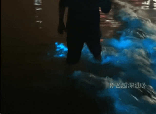 GIF 2025-3-4 22-40-31.gif