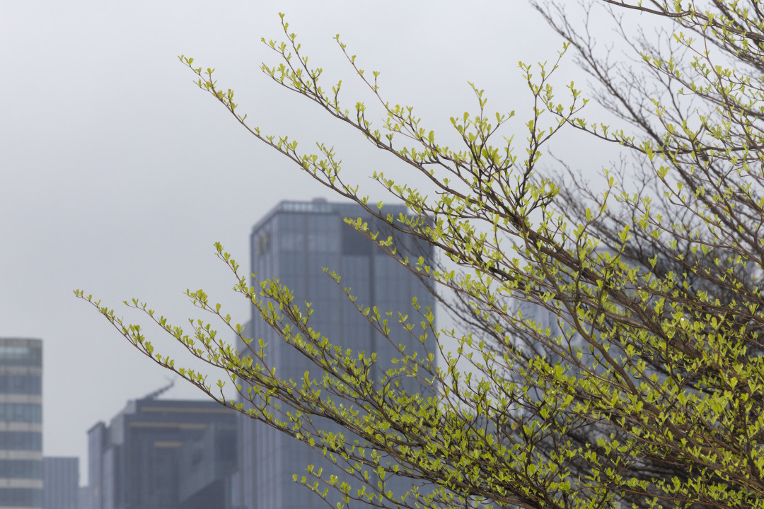 陈忧子-CYZ_8839-NEP1_20250305_C00413472194