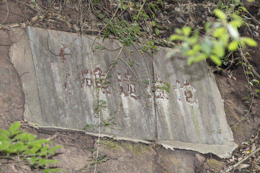 陈忧子-【粤韵周刊配图】七星岗古海岸遗迹&沧海遗-FZ100413504291