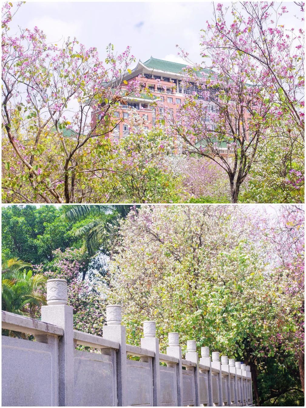 cd9cb9f18b379fd68920c1ed7864cbbf.jpg cd9cb9f18b379fd68920c1ed7864cbbf.jpg