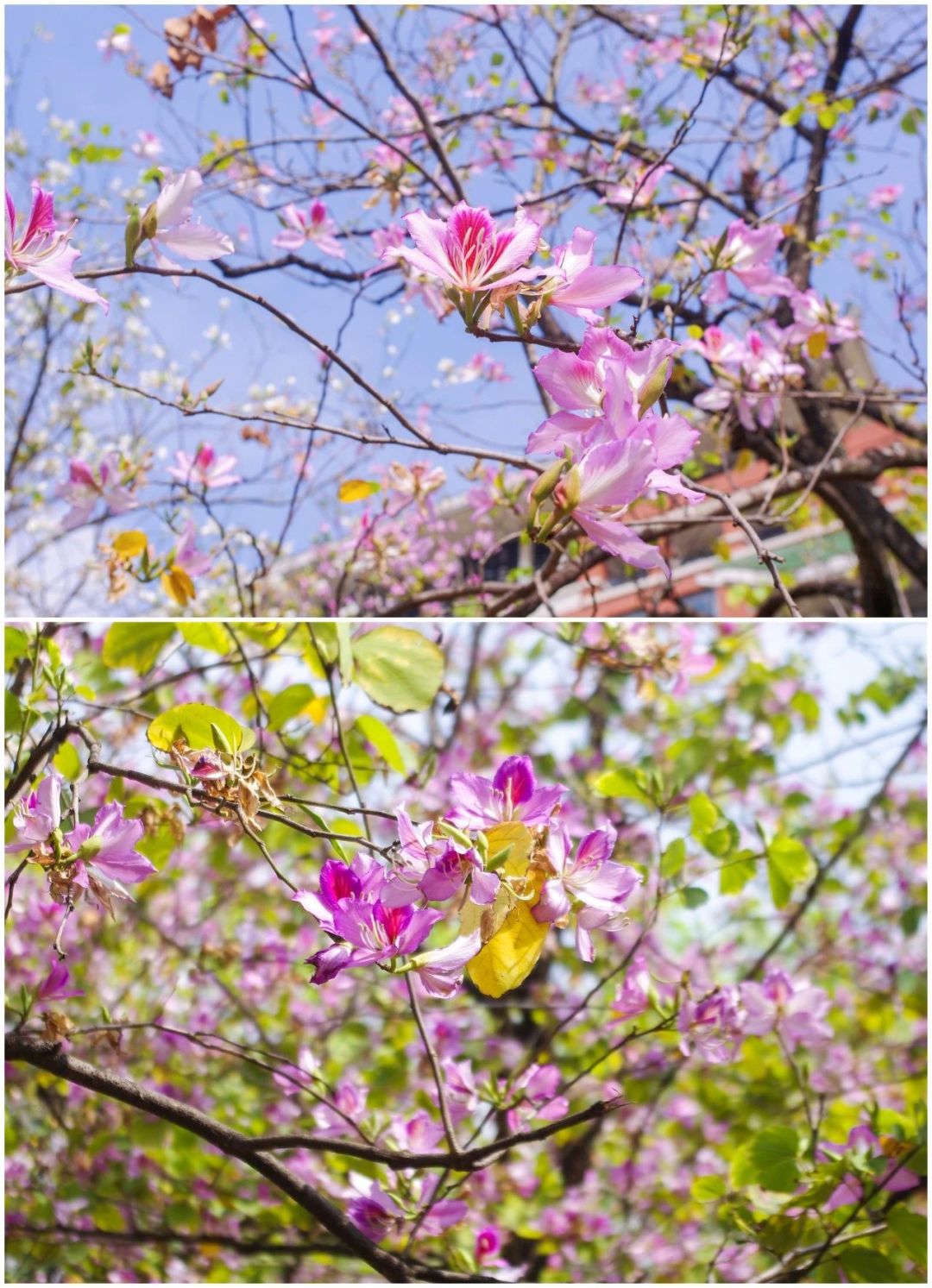 88cbe01c262142dc723a43b649c7071e.jpg 88cbe01c262142dc723a43b649c7071e.jpg