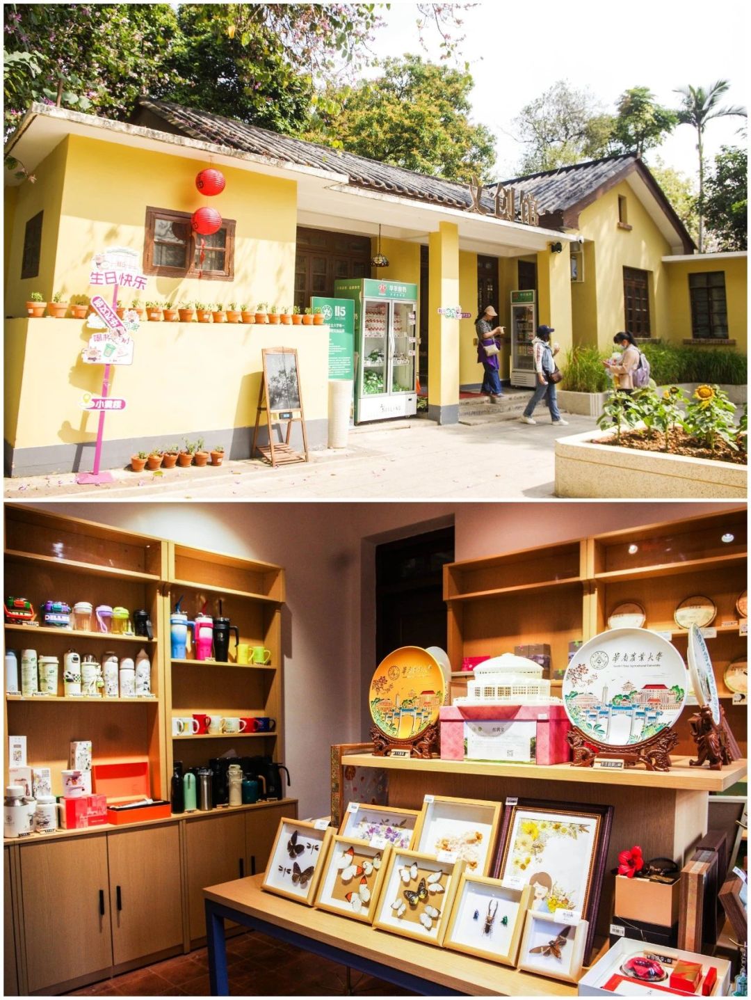 bbc293ad140465966539dcd0c5811f1a.jpg bbc293ad140465966539dcd0c5811f1a.jpg