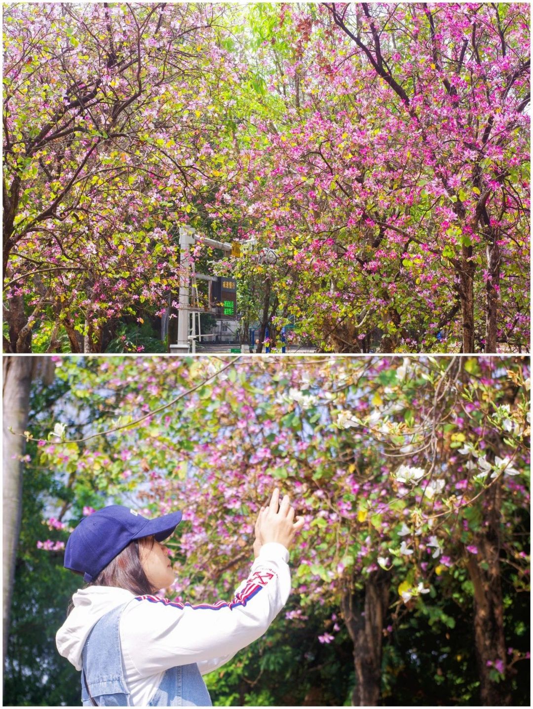 f1f7c421d7fe5b6616af189c63928eba.jpg f1f7c421d7fe5b6616af189c63928eba.jpg