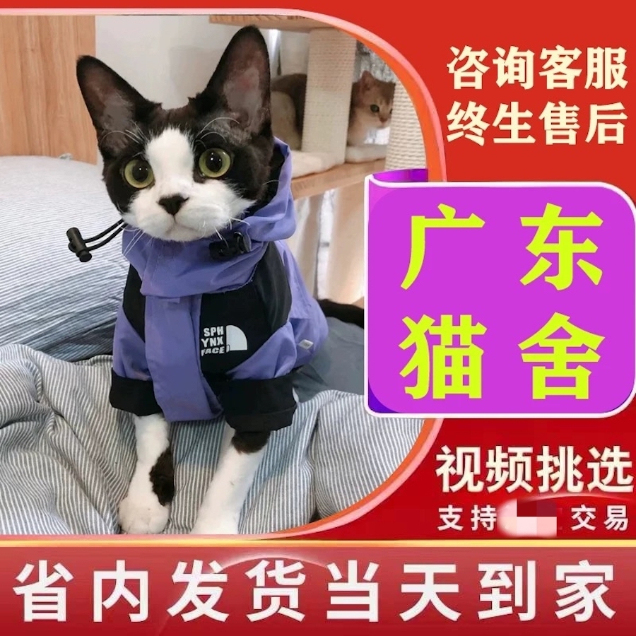 某电商平台的活体宠物销售