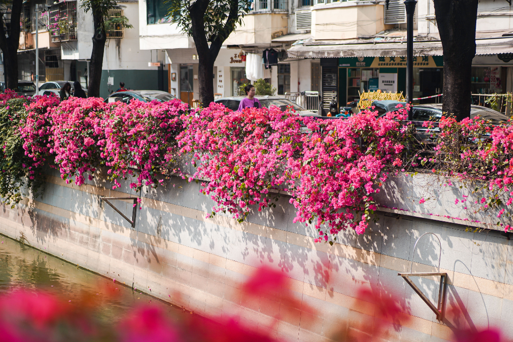 微信图片_20250315202728