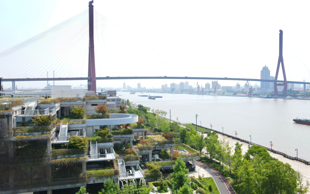 上海杨浦滨江(新华社)1