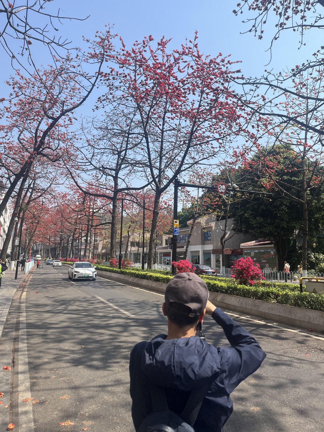 34011742446416_.pic_hd