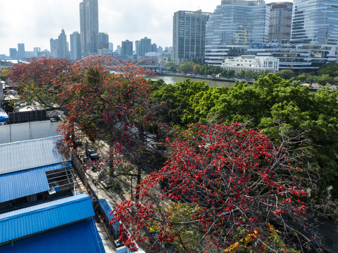 苏俊杰-DJI_0036202503182851-NEP1_20250318_C00413540031