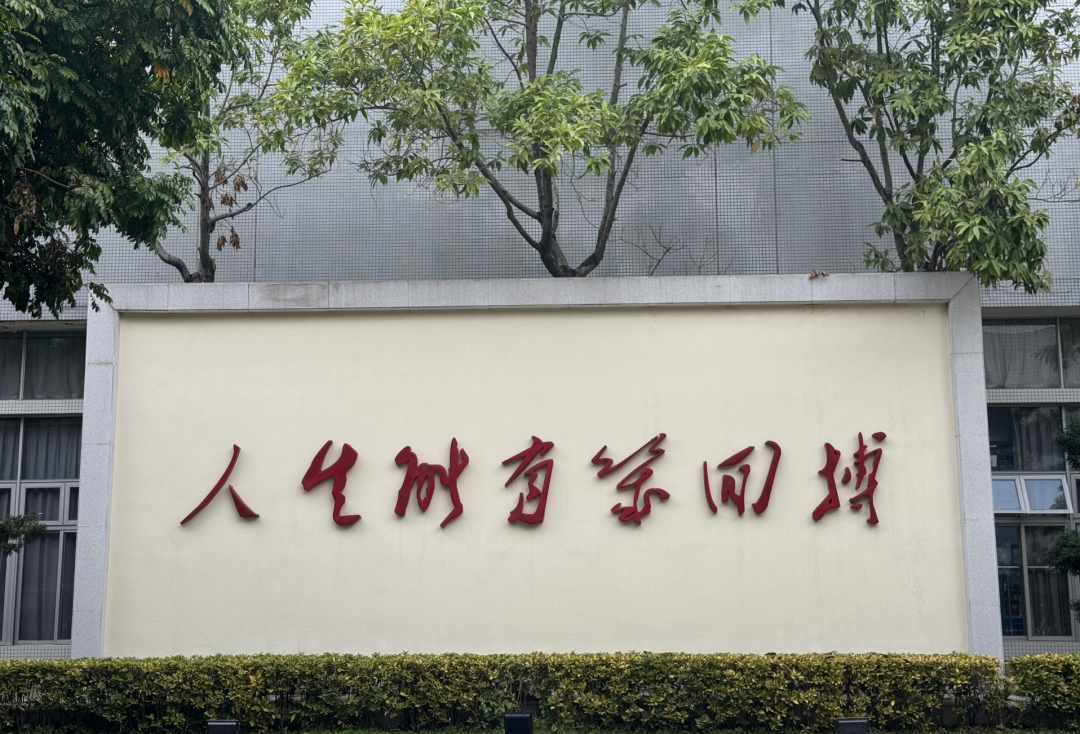 截屏2025-03-22 11.43.37