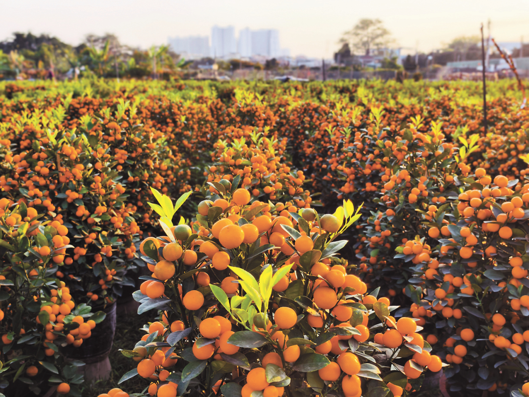 骆昌威-IMG_20250116_171818-FZ102813574232