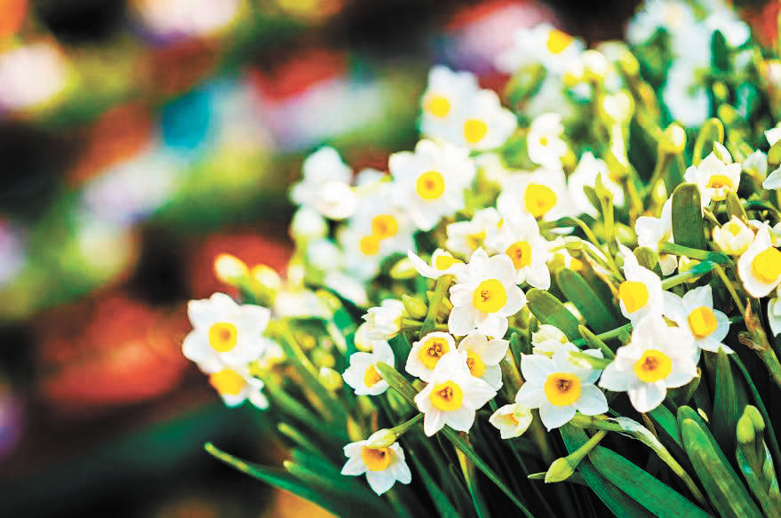 -微信图片_20250324152435-FZ102813569111