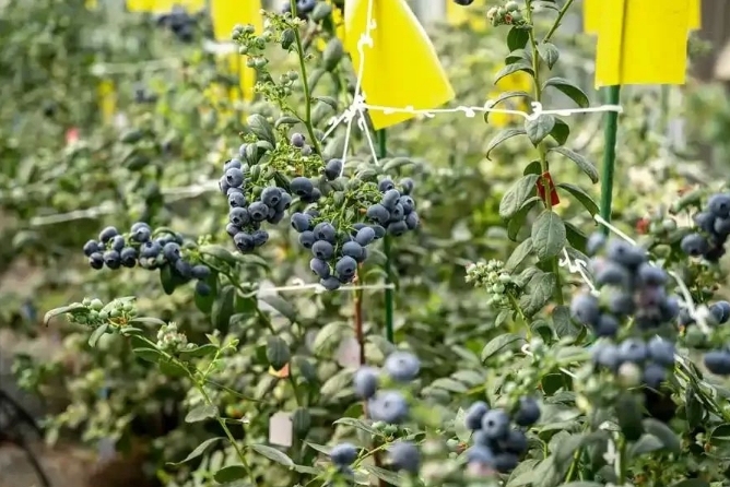 微信截图_20250328222218.png 微信截图_20250328222218.png