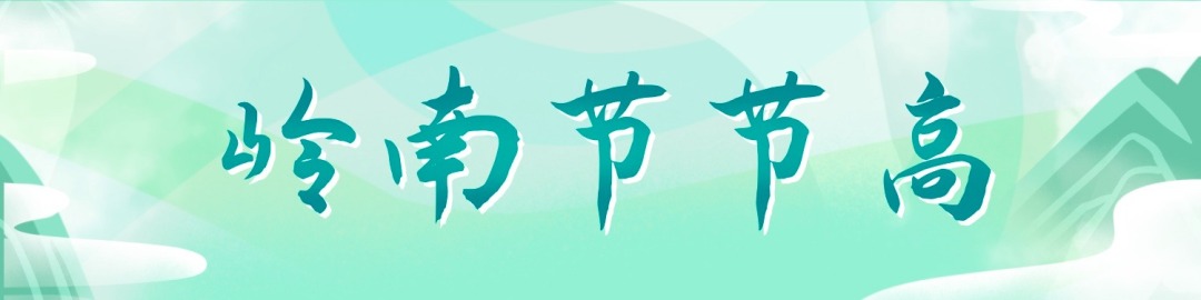 岭南节节高