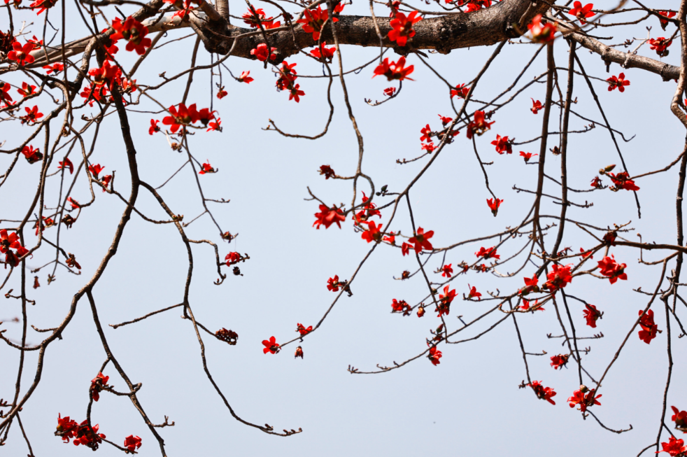 微信图片_20250331194938