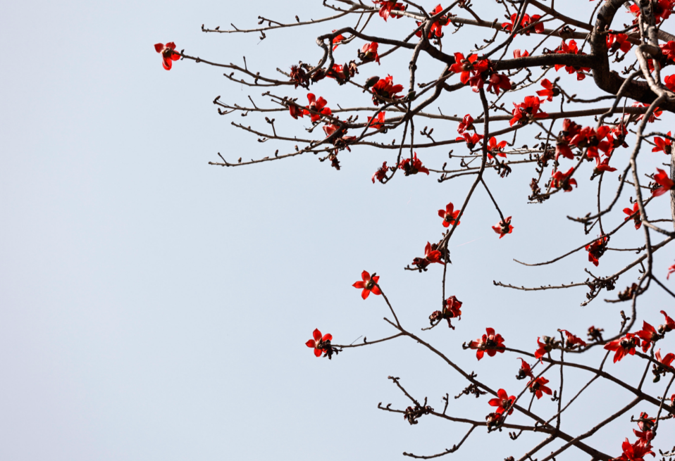 微信图片_20250331194941