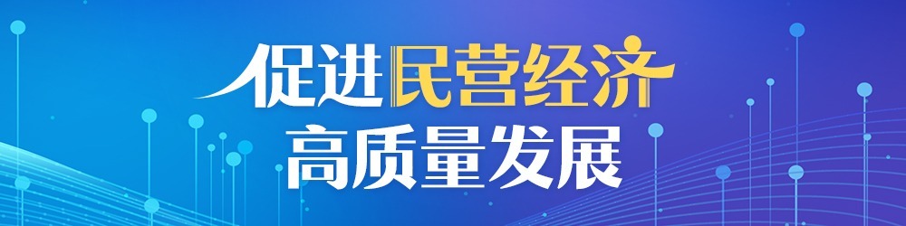 促进民营经济高质量发展