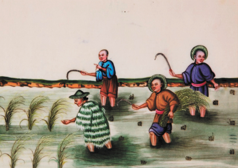 通草画中的广州农事场景-FZ102813604663.jpg 通草画中的广州农事场景-FZ102813604663.jpg