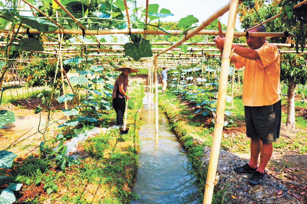 海珠湿地公园8-FZ102813604666.jpg 海珠湿地公园8-FZ102813604666.jpg