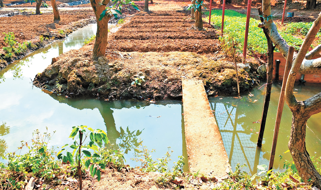 赵飞 摄.jpg 赵飞 摄.jpg