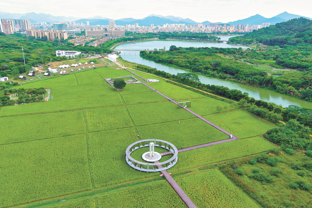 骆昌威-MAX_0319-FZ102813613300.jpg 骆昌威-MAX_0319-FZ102813613300.jpg