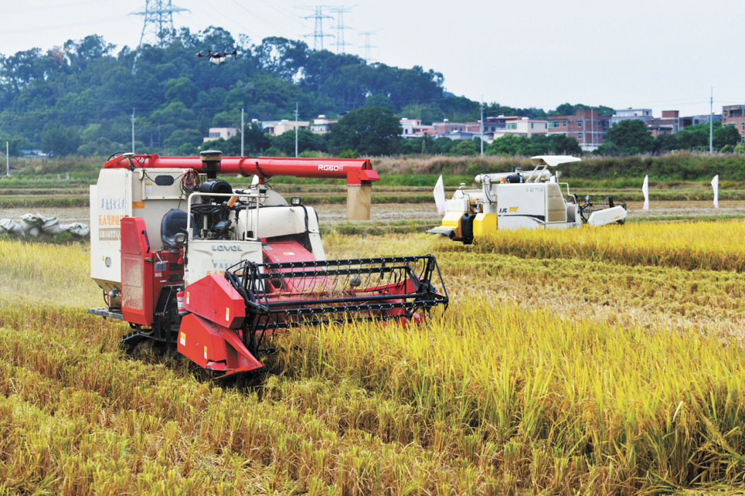 杨耀烨-无人化农场收割忙-FZ102813604503.jpg 杨耀烨-无人化农场收割忙-FZ102813604503.jpg