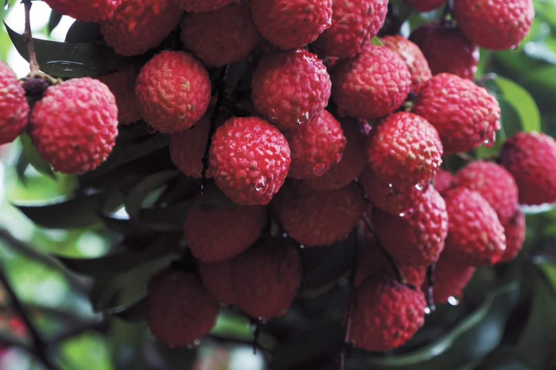 乔军伟-2R9A9322(1)-FZ102813604104.jpg 乔军伟-2R9A9322(1)-FZ102813604104.jpg