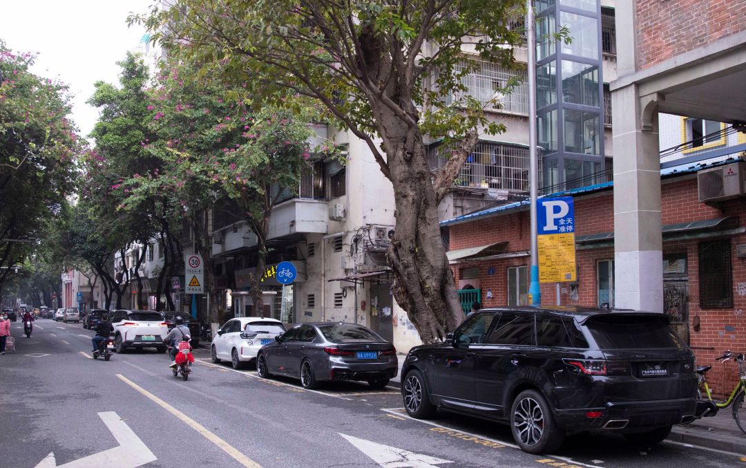 苏俊杰-sjj20230207-FZ100413617149.jpg 苏俊杰-sjj20230207-FZ100413617149.jpg