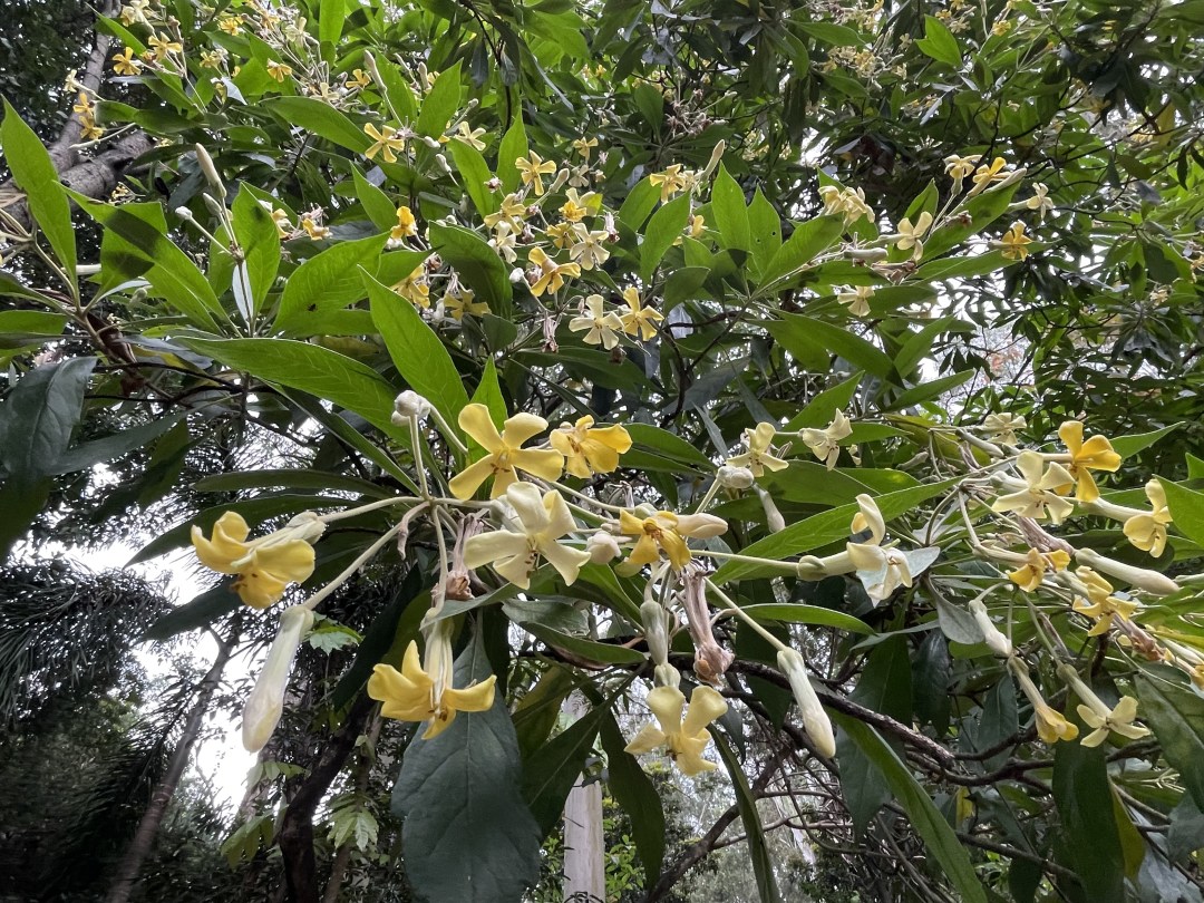 att_9273193.JPG att_9273193.jpg