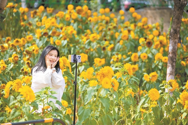 13635790_huangwx_1743945439088_s