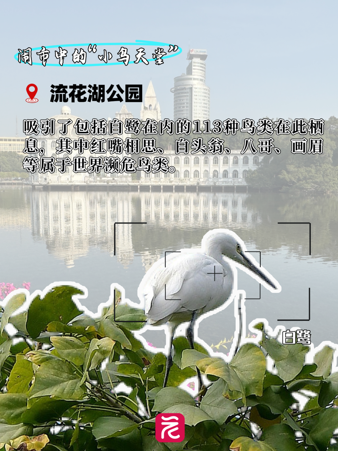 bc785e5bb43564db958ba4722216f45.png bc785e5bb43564db958ba4722216f45.png