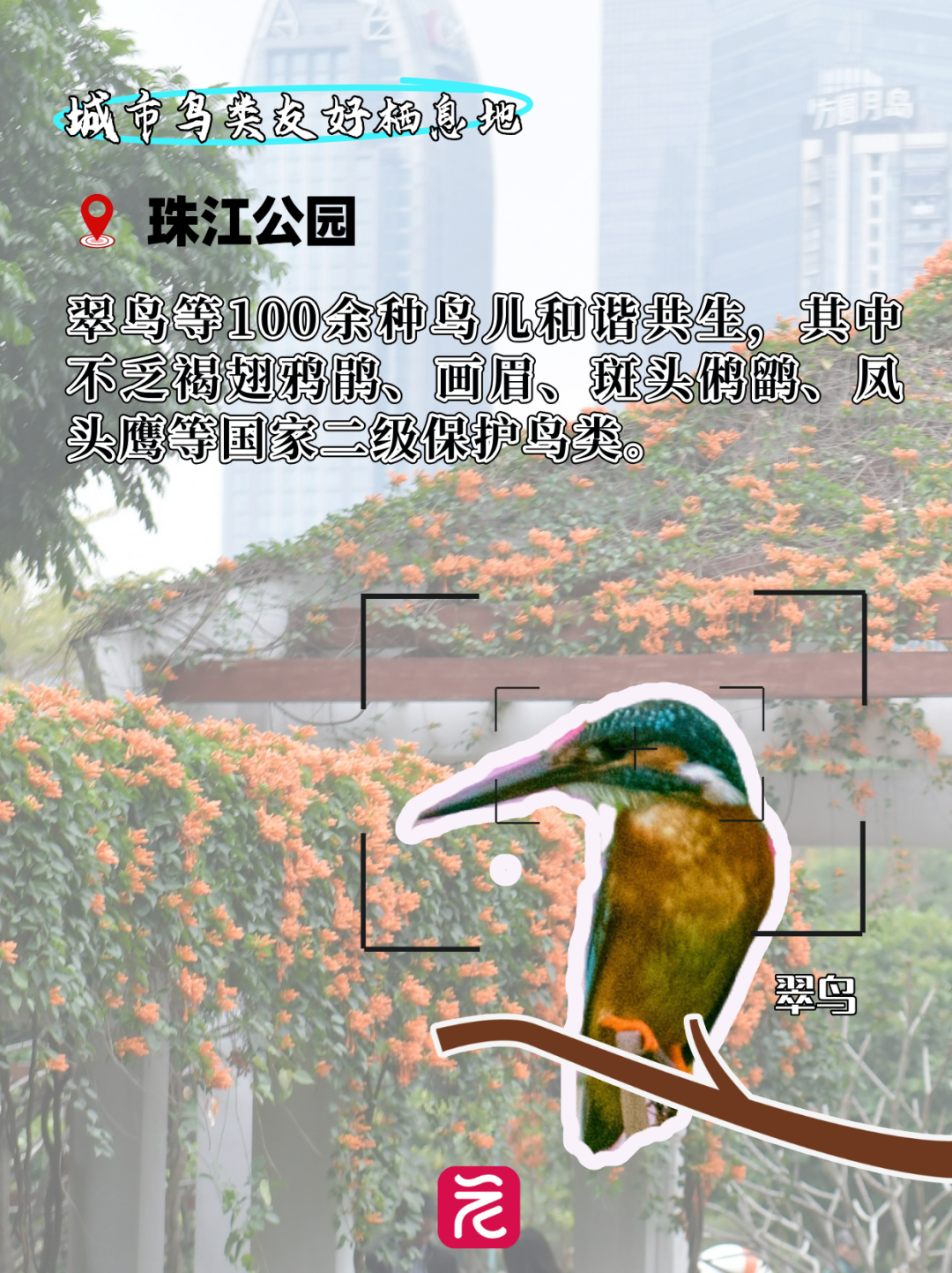 李现打鸟__2025-04-08+17_23_14