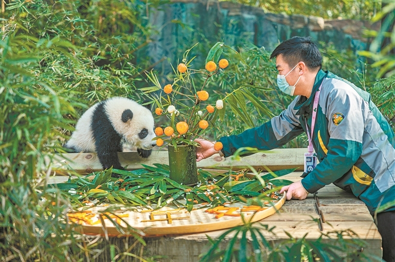 13645903_zhanghl_1744114615118_s