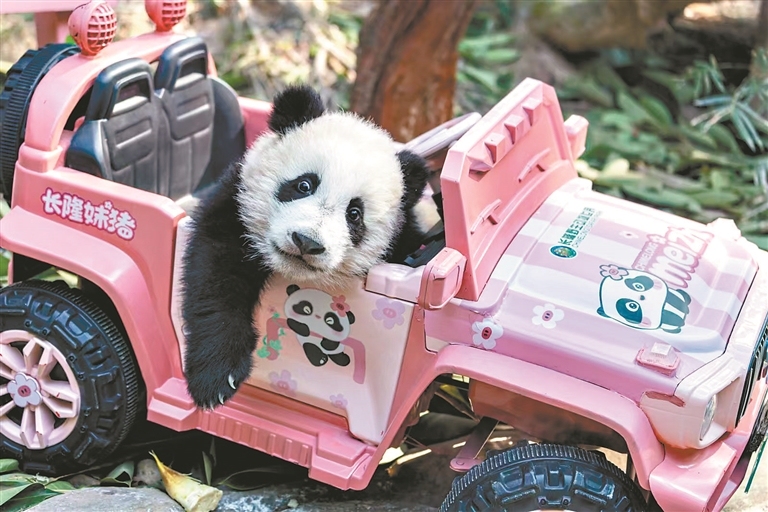 13645864_huangwx_1744116624676_s