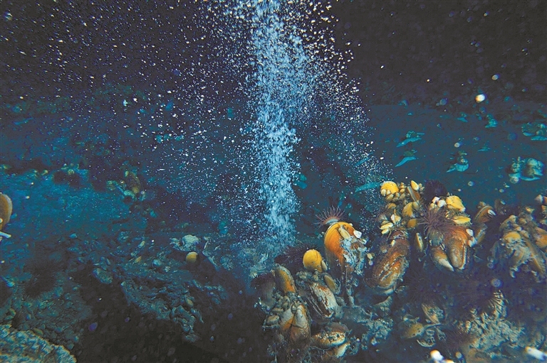 13604844_zhanghl_1743511703324_s