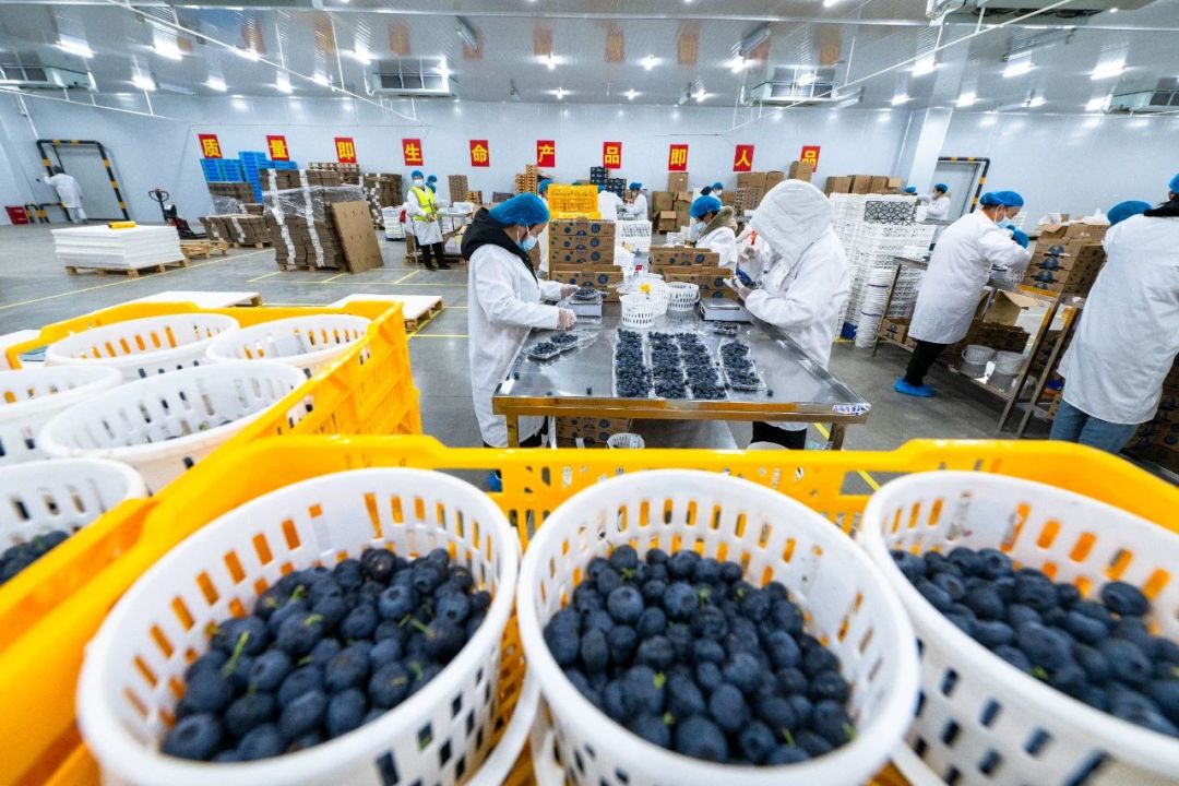 30a4b6696e724dd8f13eff0db1932383